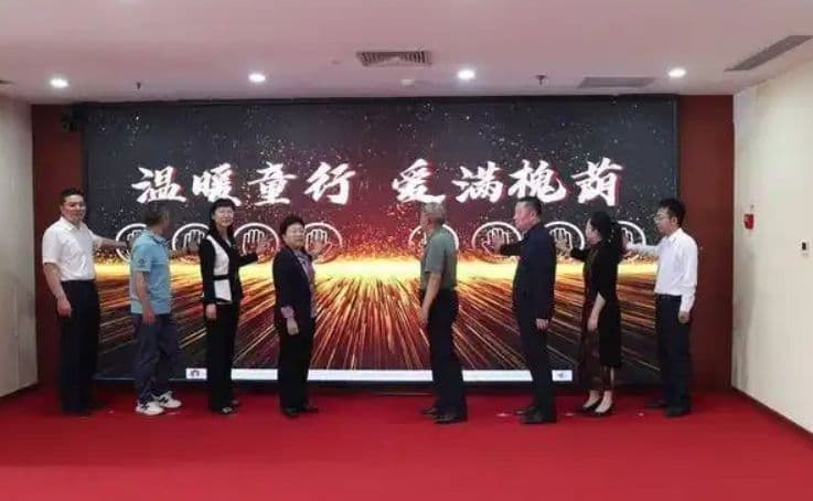 “温暖童行·爱满槐荫”儿童关爱项目启动 五大计划构建全方位帮扶体系——槐荫区以慈善温度守护重病患儿生命花开