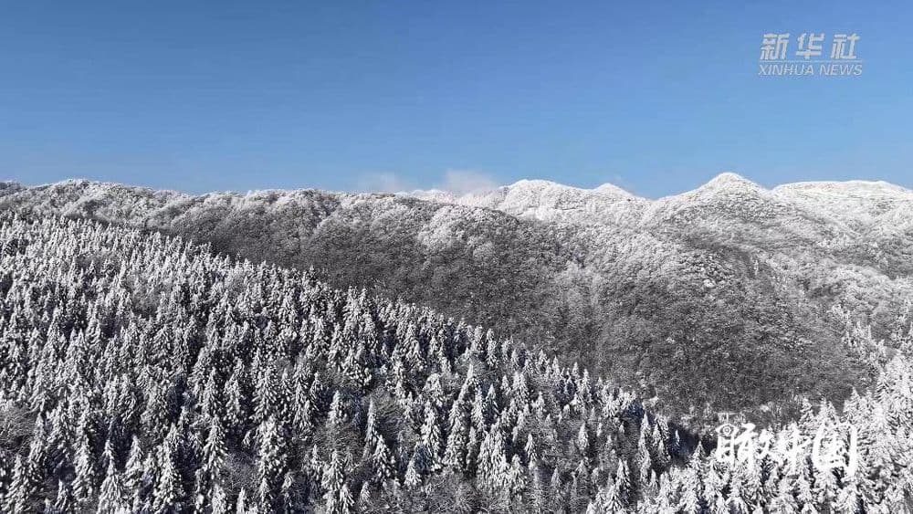 瞰中国·冰雪冬韵｜湖北咸丰：林海换银装