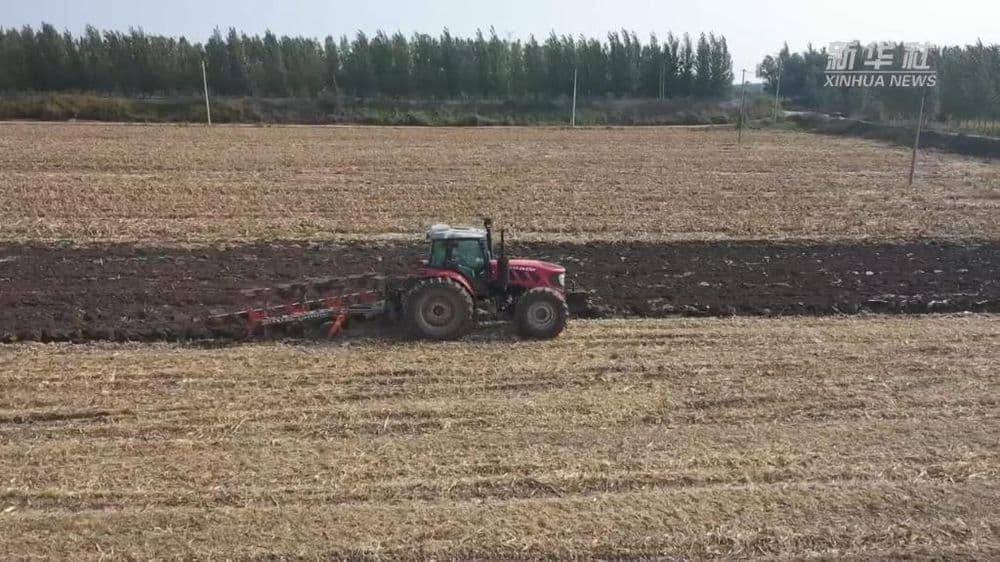 山东高密：抢烘秋粮 农技人员整地散墒备秋播