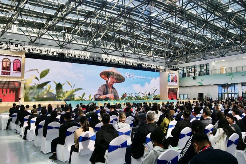 2025中国黑茶大会—梧州六堡茶文化节举办