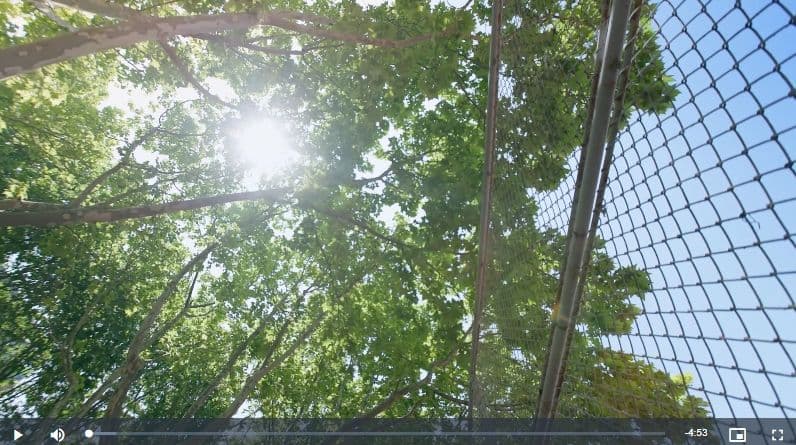 体验丨养老护理员：一场青丝与白发的“双向奔赴”