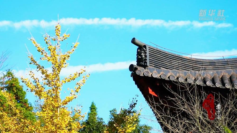 千城百县看中国｜福建寿宁：微寒暖阳时