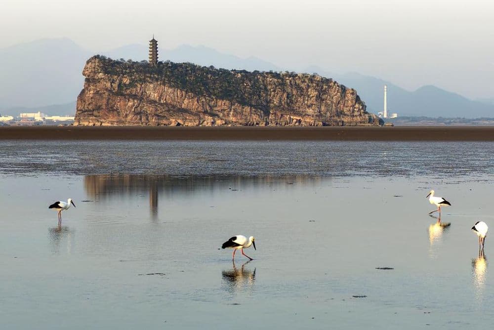 江西省湖口县鄱阳湖鞋山水域：鄱湖如画 候鸟翔集