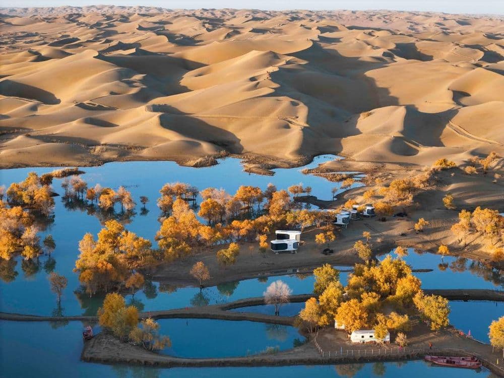 祖国秋景美到啥程度？处处是绝色大片！