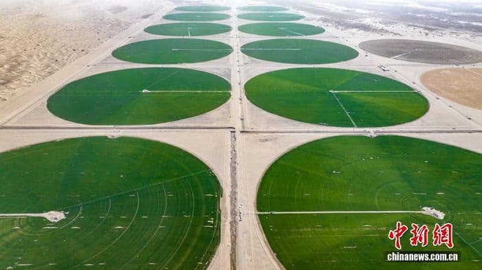 沙地变良田 塔克拉玛干现“绿色圆盘”